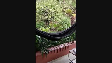 Playing tits in hammock OUTDOOR