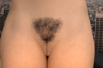 hairy pussy