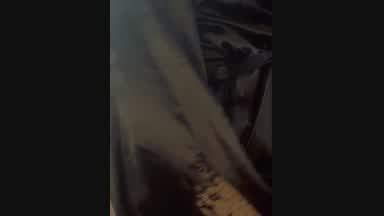 Жопа