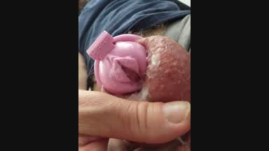 sissycock