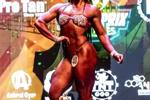 champion May 2026