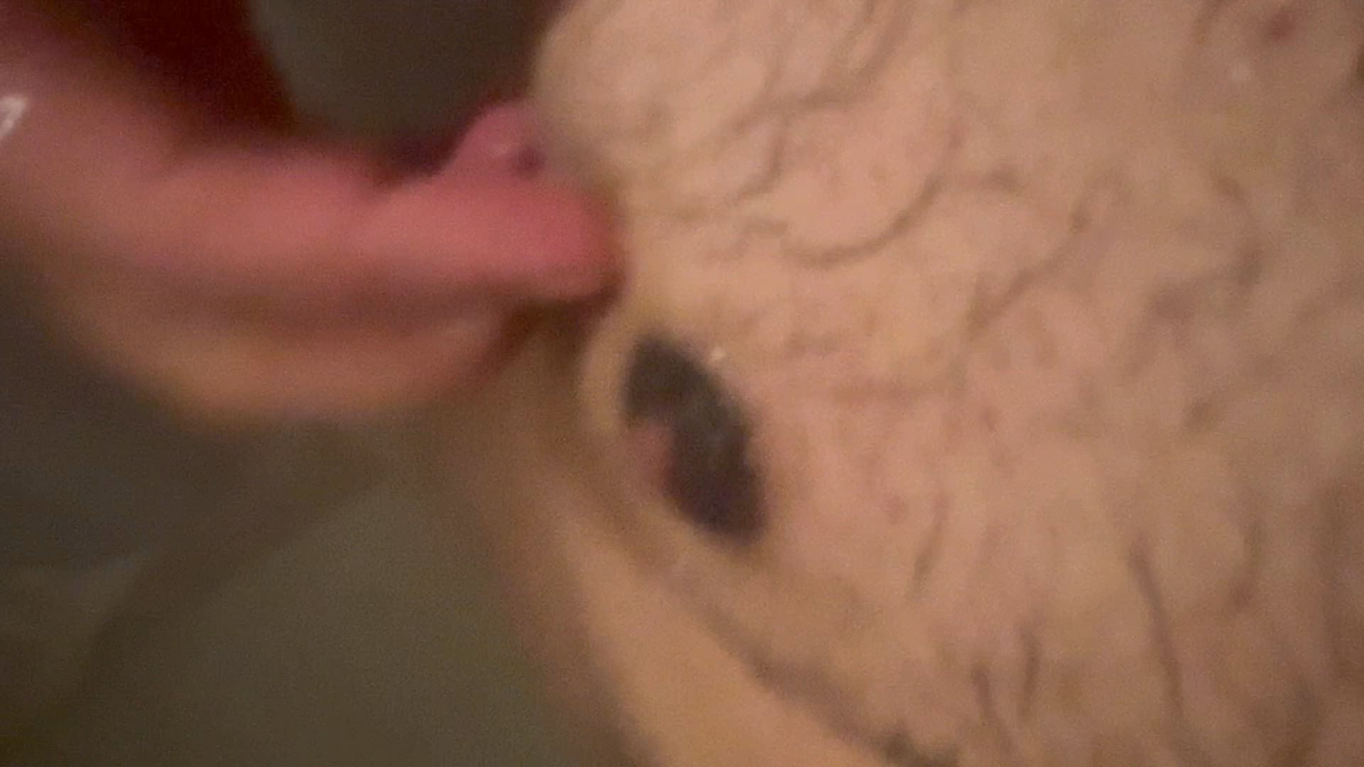 makemecum live Chaturbate webcam gallery thumbnail