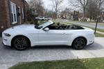 Stang