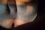 I like looking at my dick?