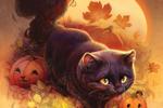 Halloween Pussy Poll! 🐈‍⬛