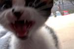 hehehehe