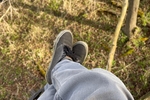 Eagle Pickin