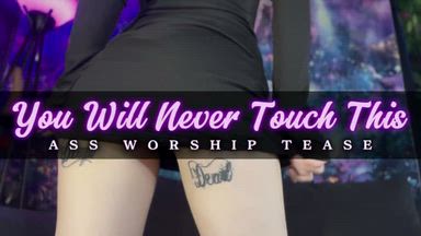 You Will Never Touch This