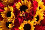 sarita lozano ♥ — Flowers💐