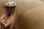 Close-up pussy
