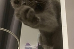 I say hello