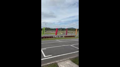 A barata voadora