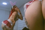Rabbit hi