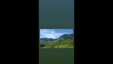 The earth breathes life in every corner
