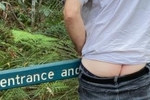 bushwalking
