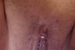 Pussy