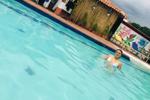 Pool Day