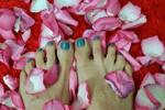 pies