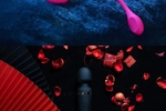Lovense toy