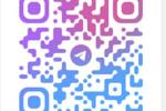 My telegram channel)