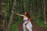 Baltic Reverie
