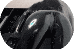 𝑺𝒑𝒂𝒏𝒌𝑹𝒖𝒃𝒃𝒆𝒓𝒍𝒂𝒕𝒆𝒙𝒍𝒖𝒗