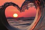best lovers  pvt