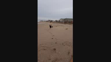 My dog
