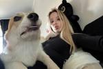 I have 4 animals living at home