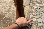 Viajar 🏇🏞🏔