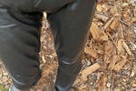 Leatherbulge