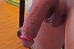 pic3