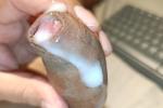My Cum Show