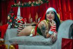 Merry Christmas and Happy New Year