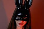 your playful bunny