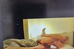 cammman48 live Chaturbate webcam gallery thumbnail