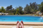Feet..