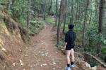 I love nature