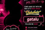 Gatita