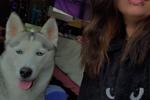 tinykitten66 live Chaturbate webcam gallery thumbnail