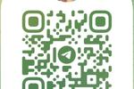 My Telegram channel