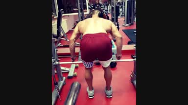 Train back on gym