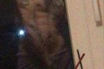 naked Jimmy