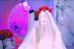 vanessaanerson โ ๐ฐโโ๏ธ๐ง๐ป