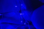 Neon pussy