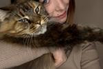 Cute Set with My Cat