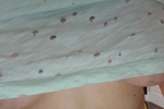 Rubu