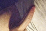 anaconda)