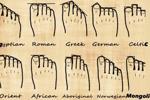 Feet 🤣