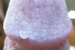 pure sweet nectar